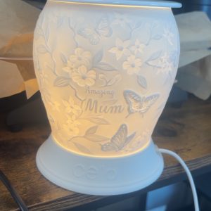 Amazing mum electric burner