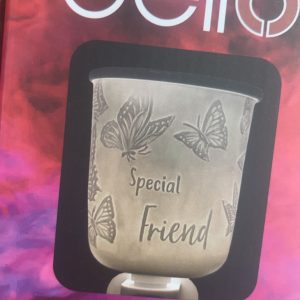 Special friend electric burner