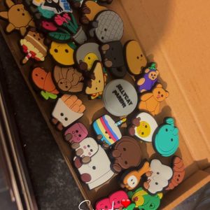 Jelly cat croc charms