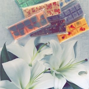 Whole sale x50 snap bars