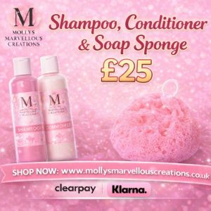 Shampoo & conditioner & soap sponge